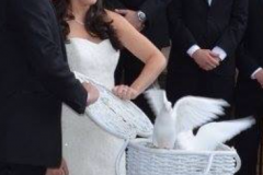 lovedoves3