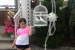 lovedoves5