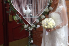 lovedoves6