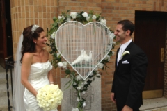 lovedoves7
